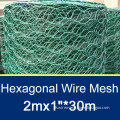 black vinyl coated poultry netting/hexagonal wire netting